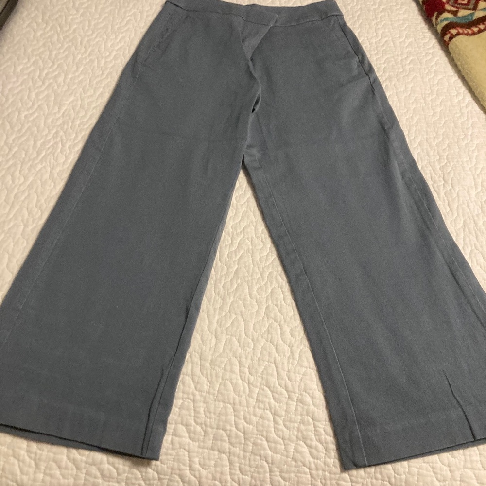 Cropped Ann Taylor pants
